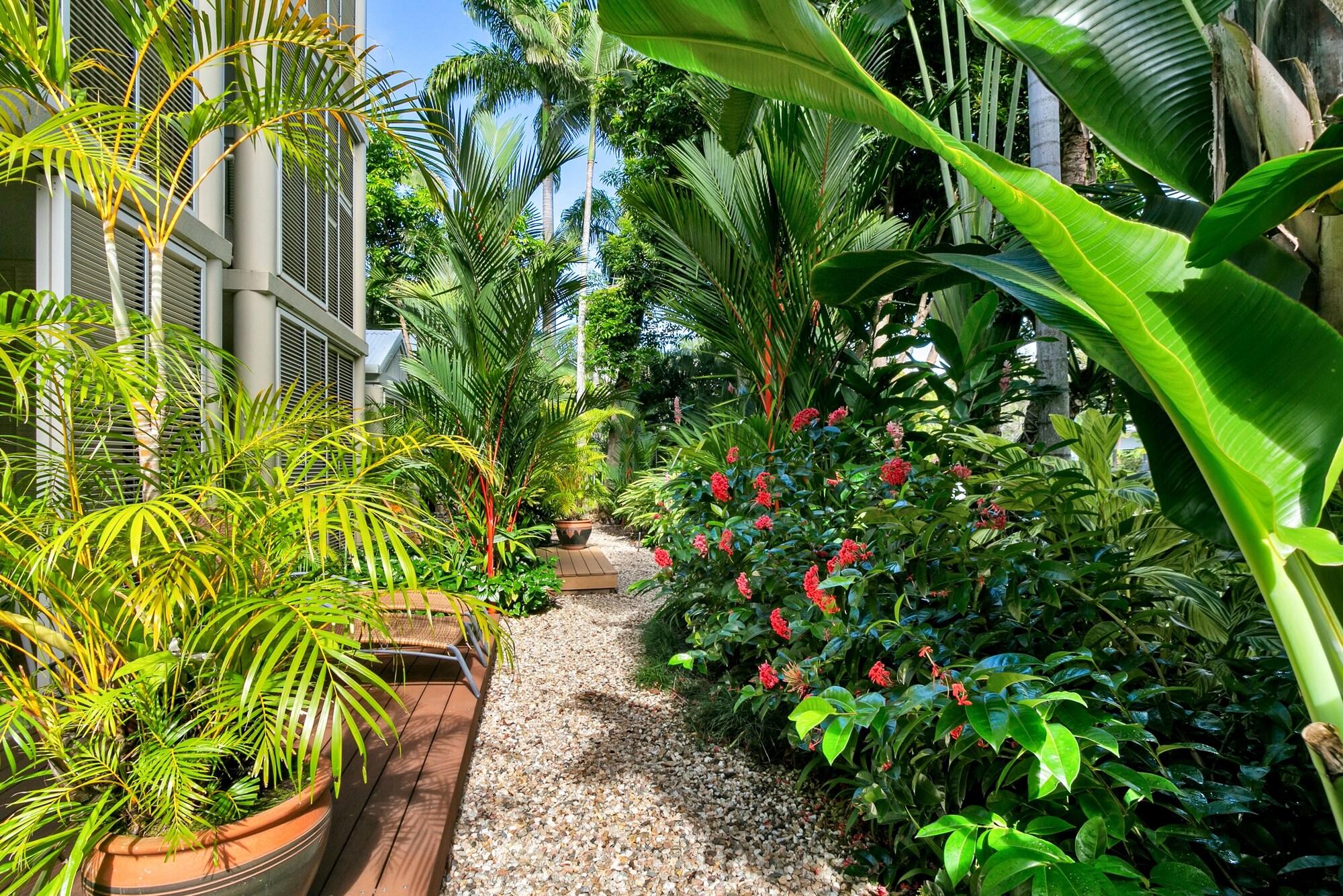 Port Douglas Apartments - Adults Only Oasis 외부 사진